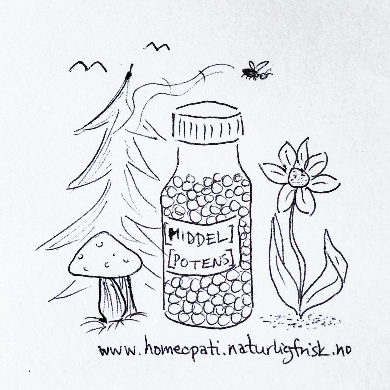 Illustration showing a remedy vial and some species from nature