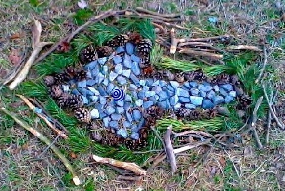 An arrow made of pebbles, sticks and pinecones - pointing to the left