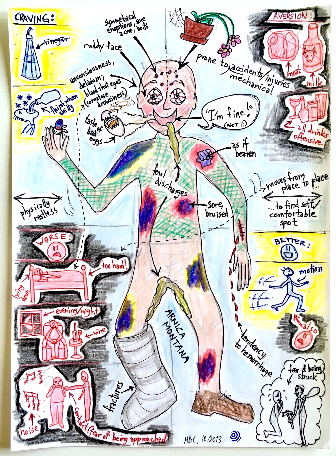 Illustration of the homoeopathic remedy Arnica montana, with key characteristics