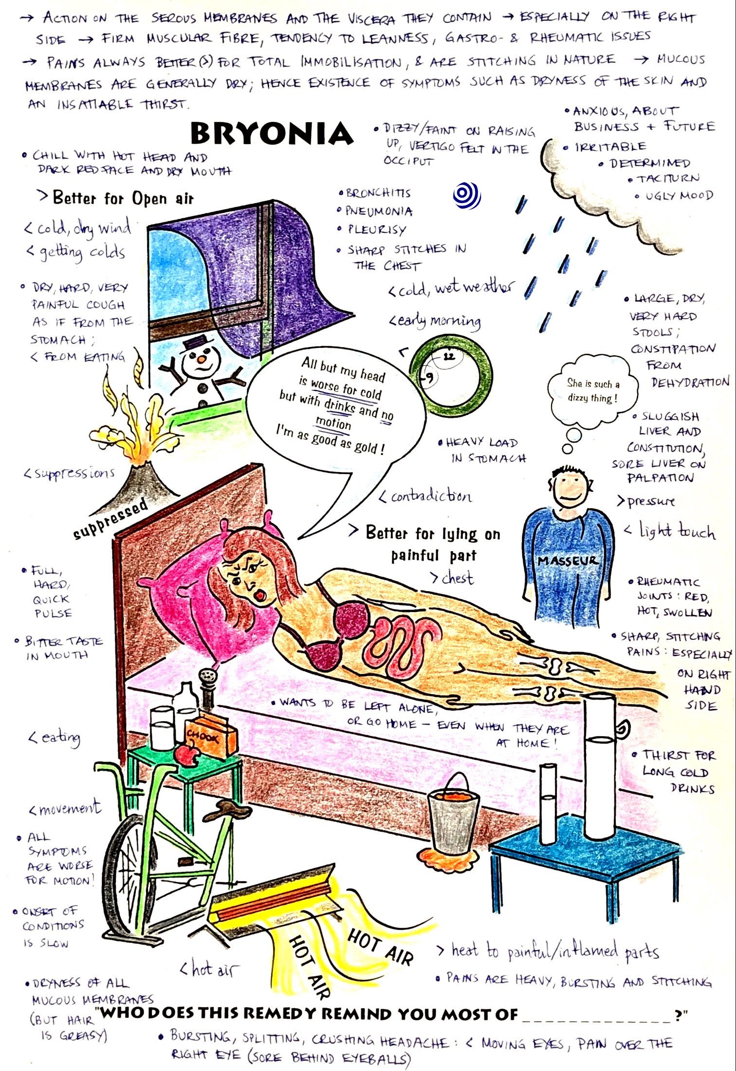 Illustration of the homoeopathic remedy Bryonia alba, with key characteristics