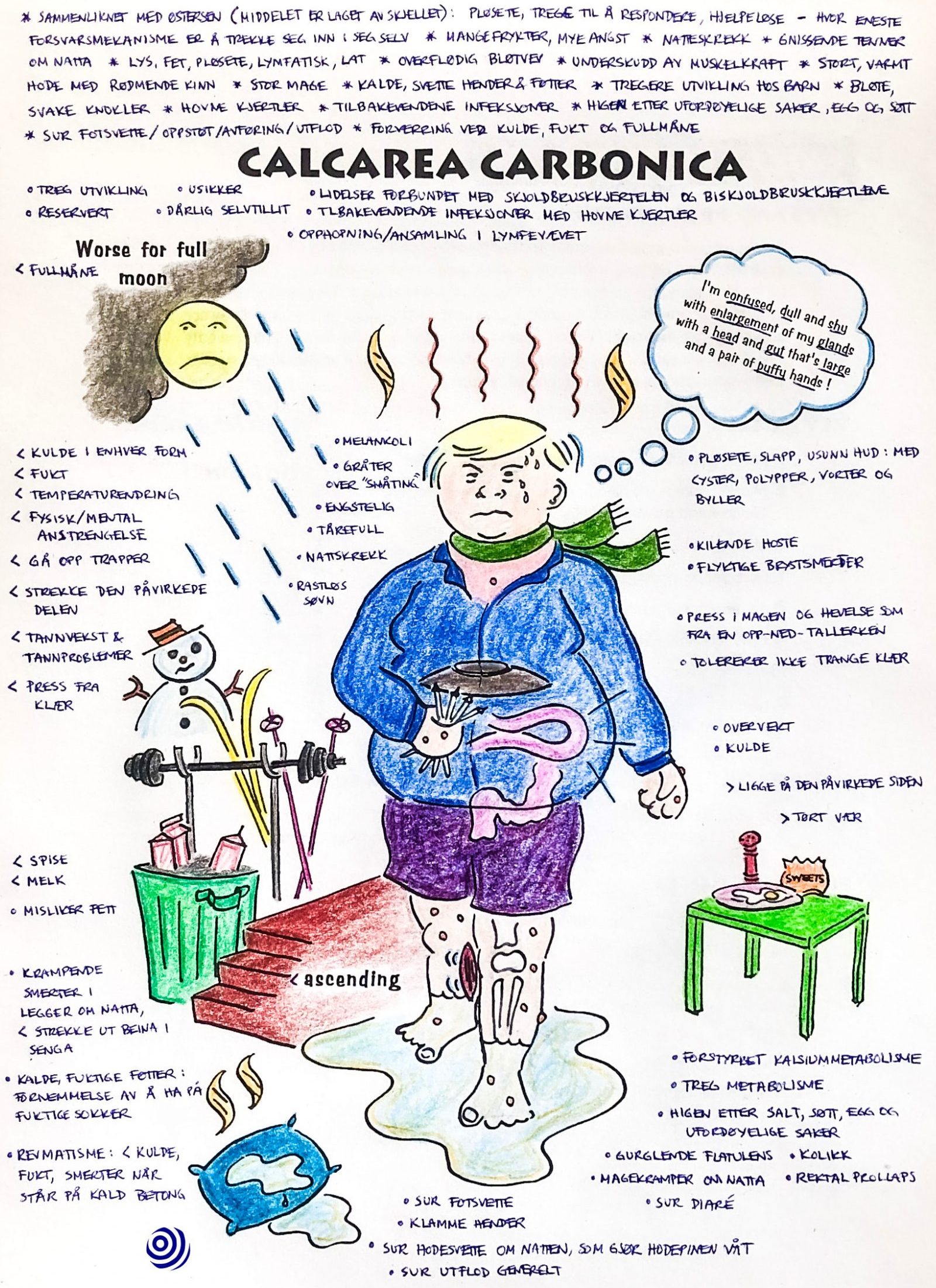 Illustration of the homoeopathic remedy Calcarea carbonica, with key characteristics