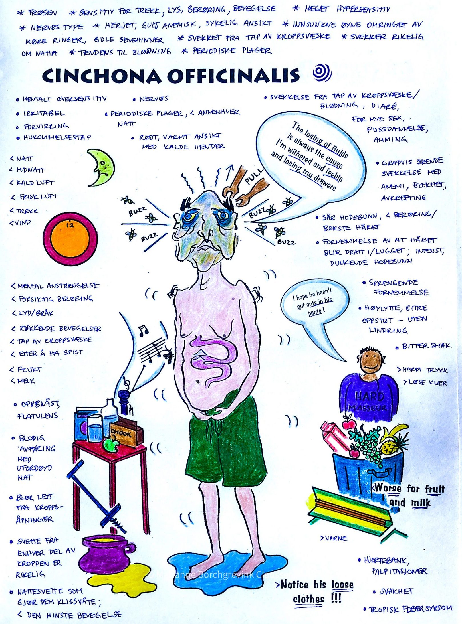 Illustration of the homoeopathic remedy China officinalis, with key characteristics